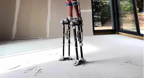 Echasses de plaquiste